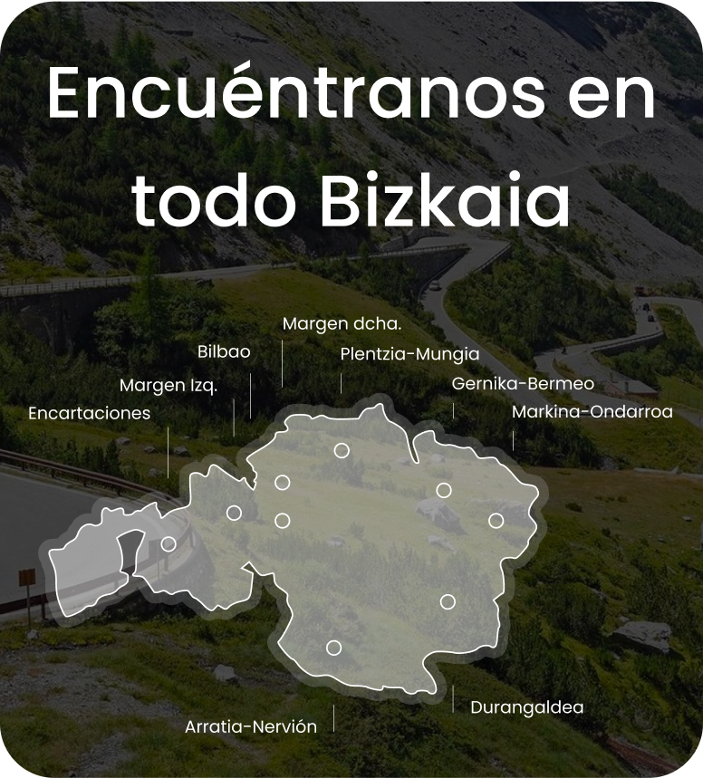 Zonas de servicio en Bizkaia